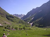 Da Pianezza di Vilminore di Scalve salita alla diga del Gleno e alla Baita di Mezzo (1900 m.) il 18 giugno 2009 - FOTOGALLERY